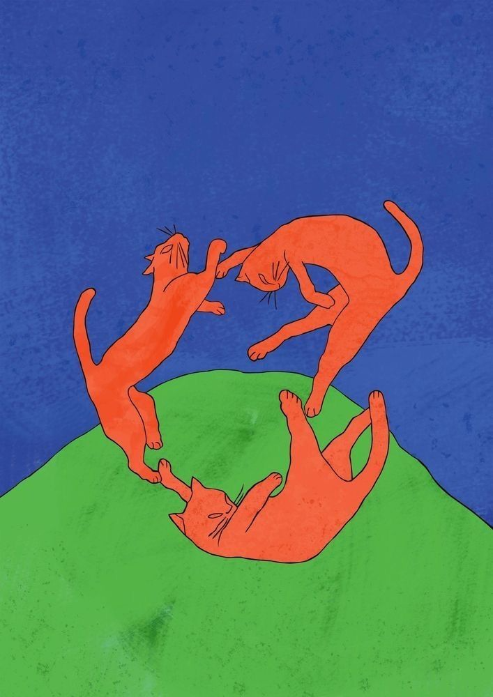 Circles of Feline Energy