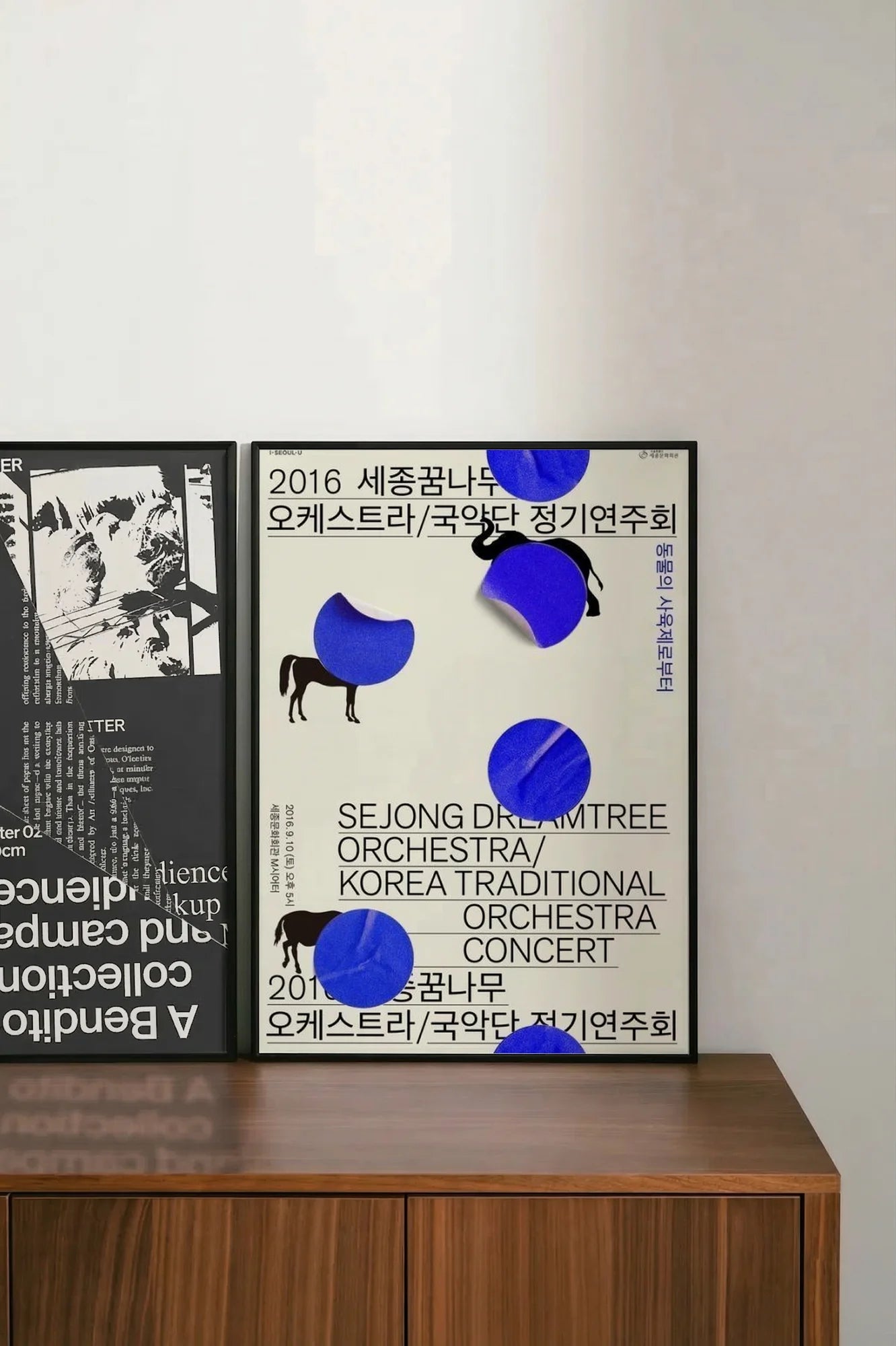 Blue Equations - shelftwo