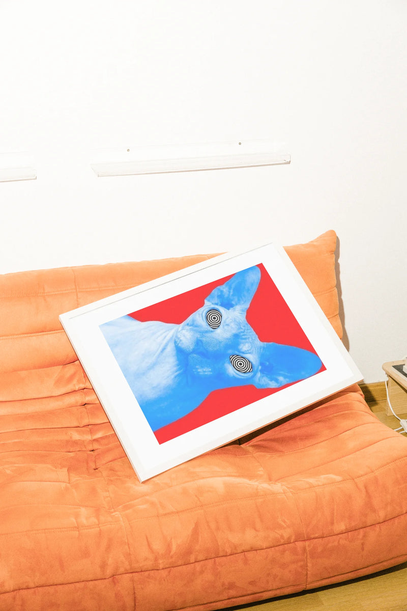 Un chat Sphynx numérique aux yeux en spirale fixe un champ rouge vif. Minimaliste, surréaliste et saisissant.. blue, illustration, minimalist, red, surreal