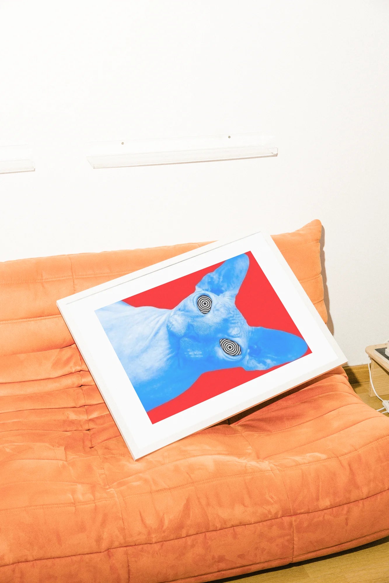 Un chat Sphynx numérique aux yeux en spirale fixe un champ rouge vif. Minimaliste, surréaliste et saisissant.. blue, illustration, minimalist, red, surreal