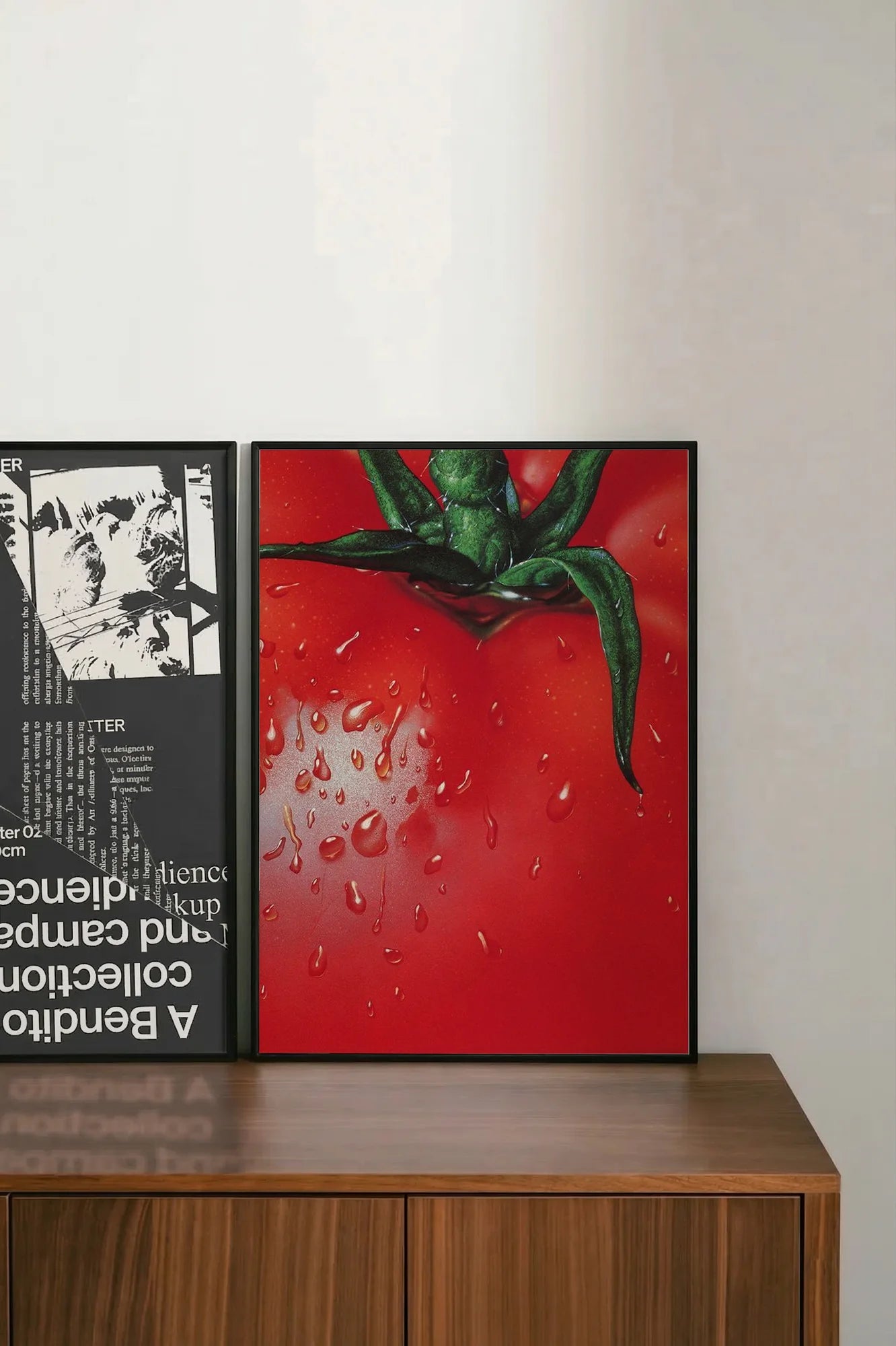 Succulent Red - shelftwo
