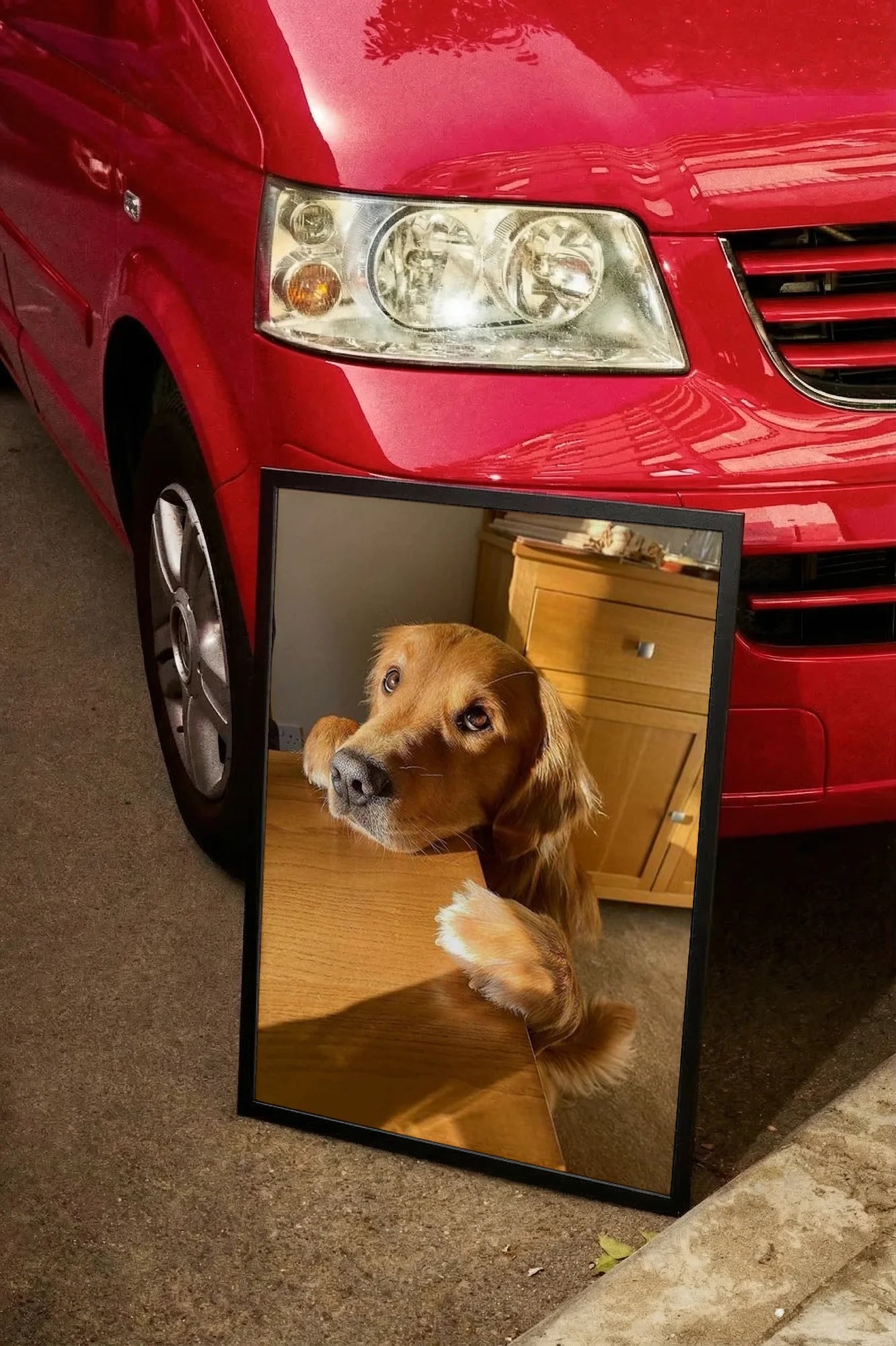 Golden Paws - carmockup