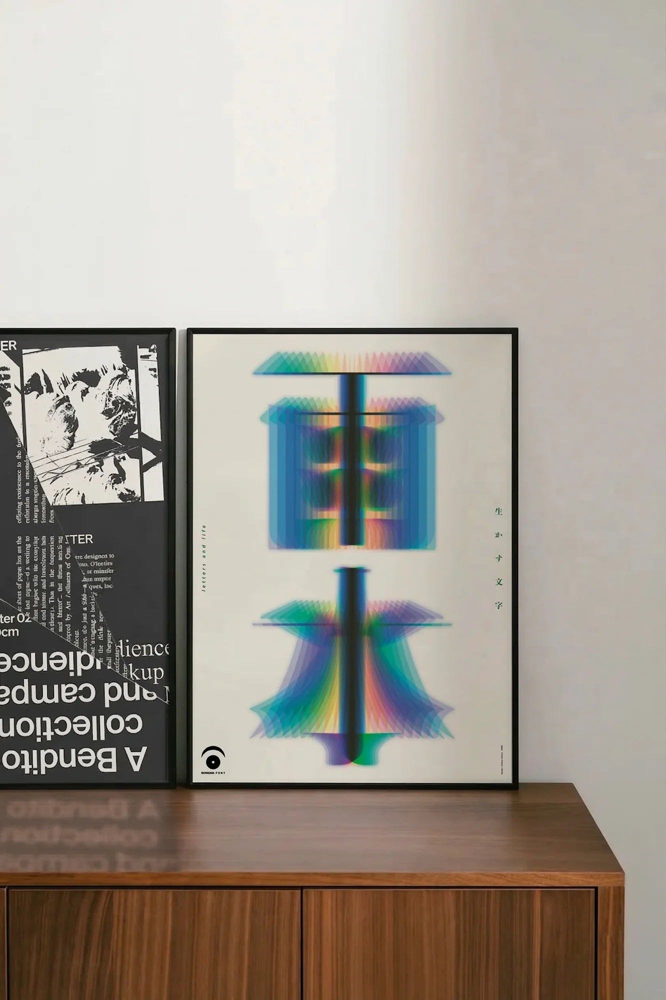Fluid Symmetry - shelftwo