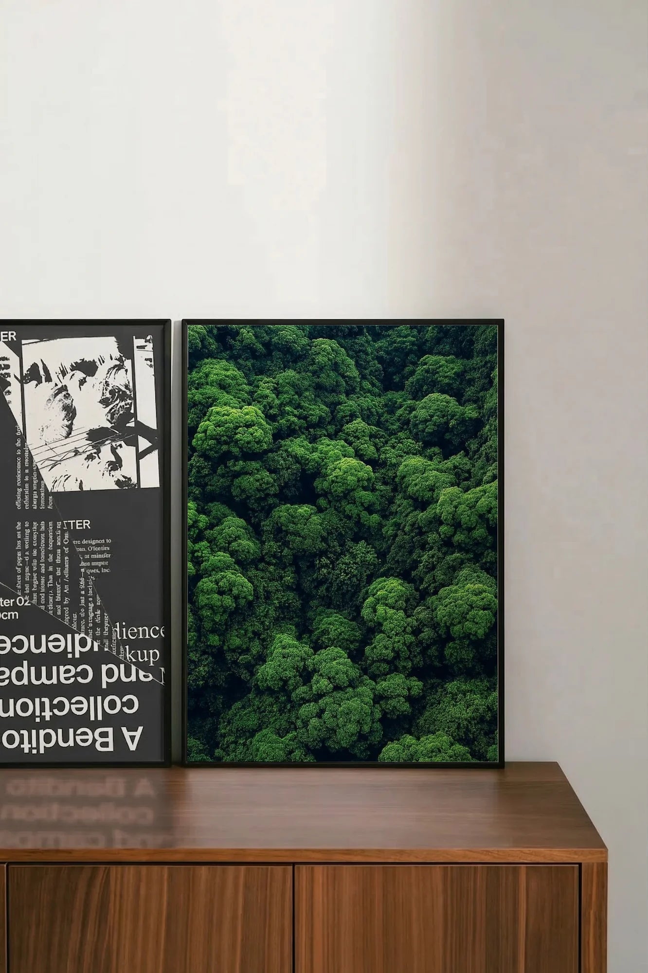 Silent Canopy - shelftwo