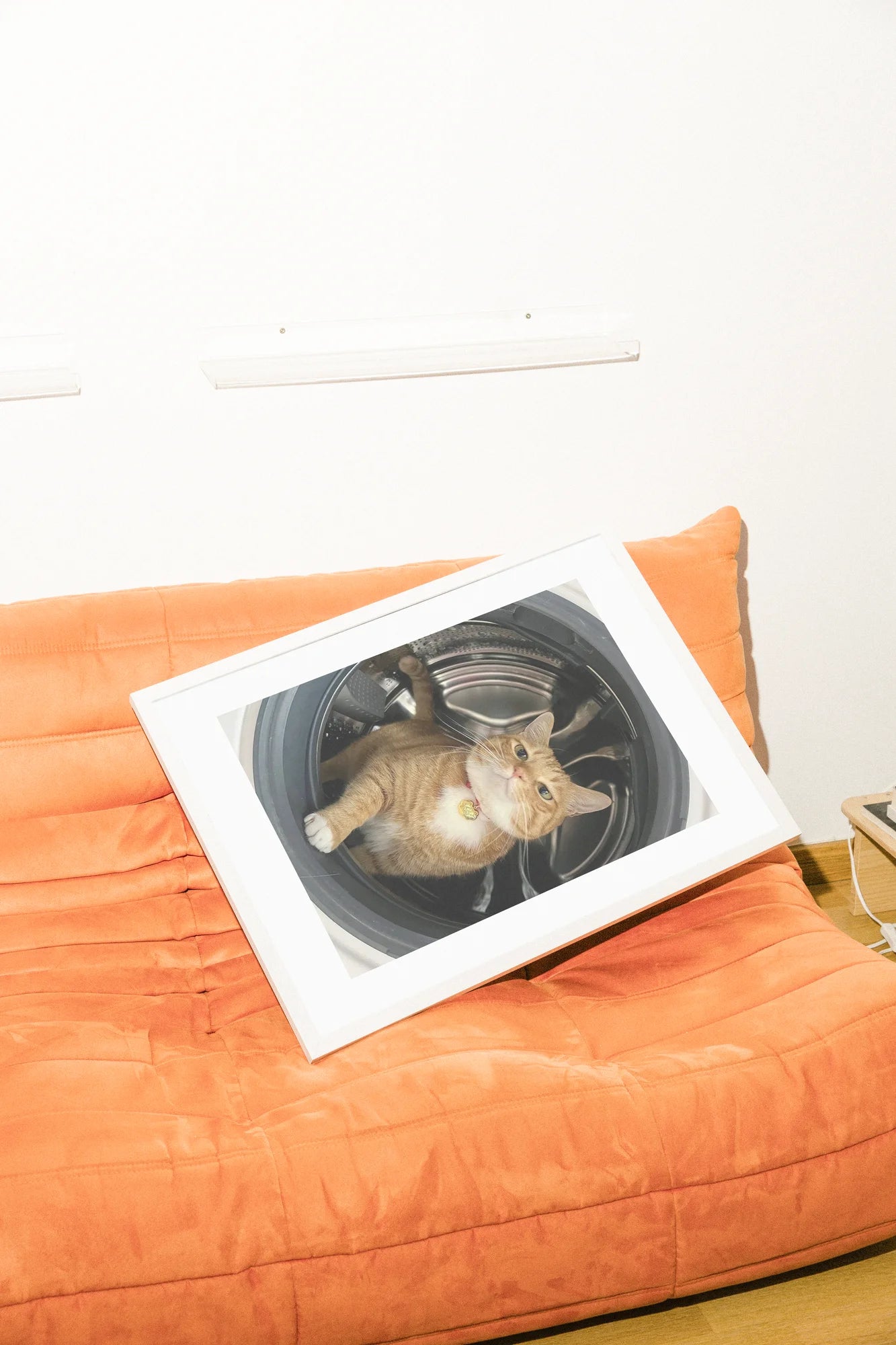 Un chat tigré roux observe curieusement l'intérieur d'un tambour de machine à laver, entouré d'une douce lumière grise. La fourrure chaude contraste avec les tons métalliques froids, créant un moment intime de la vie domestique.. animal, orange, photographic, portrait, white