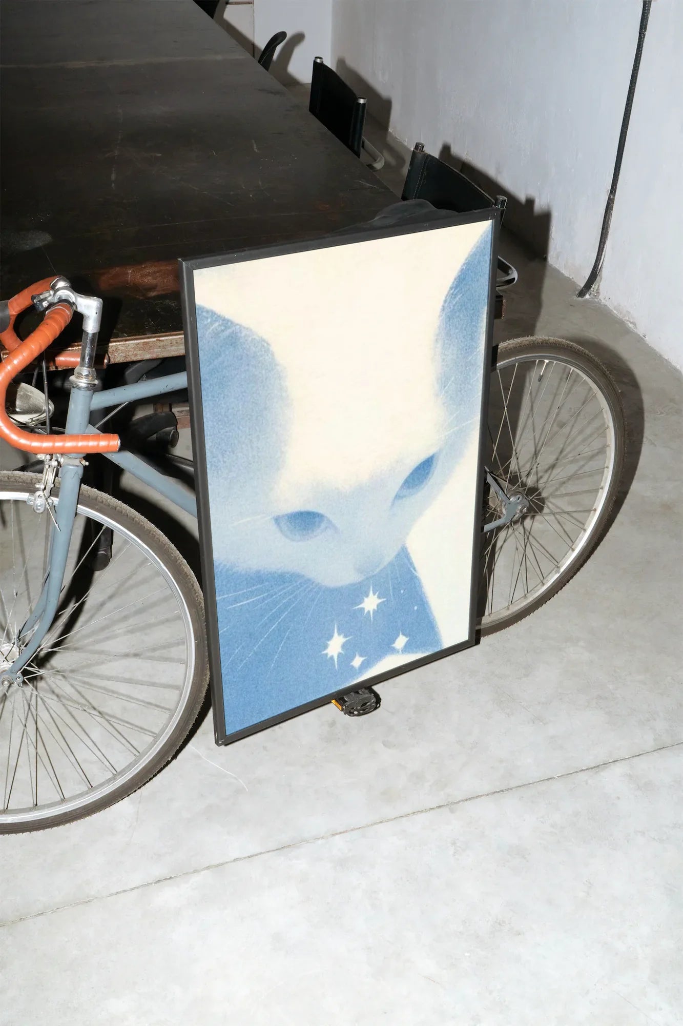 Starlight Whiskers - mockup-velo