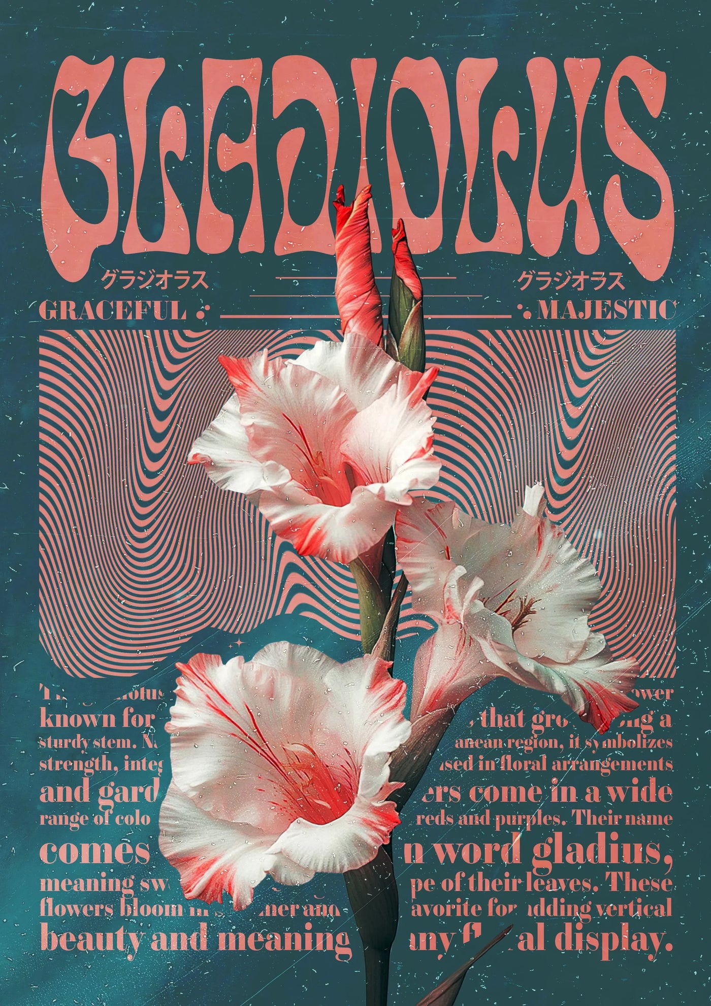 Bold typography meets vibrant gladiolus waves, a modern celebration of floral energy.
