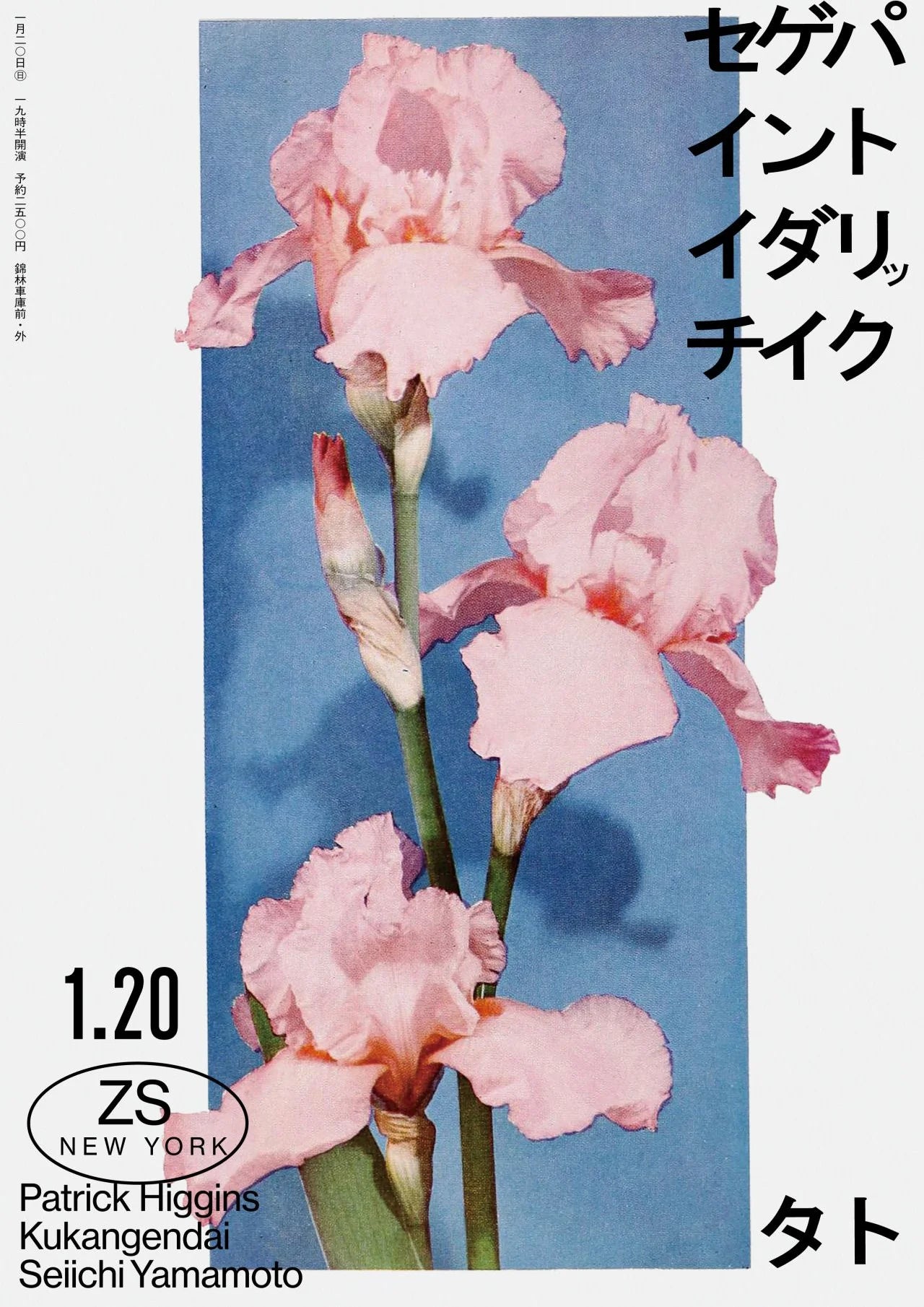Pink Petals on Deep Blue