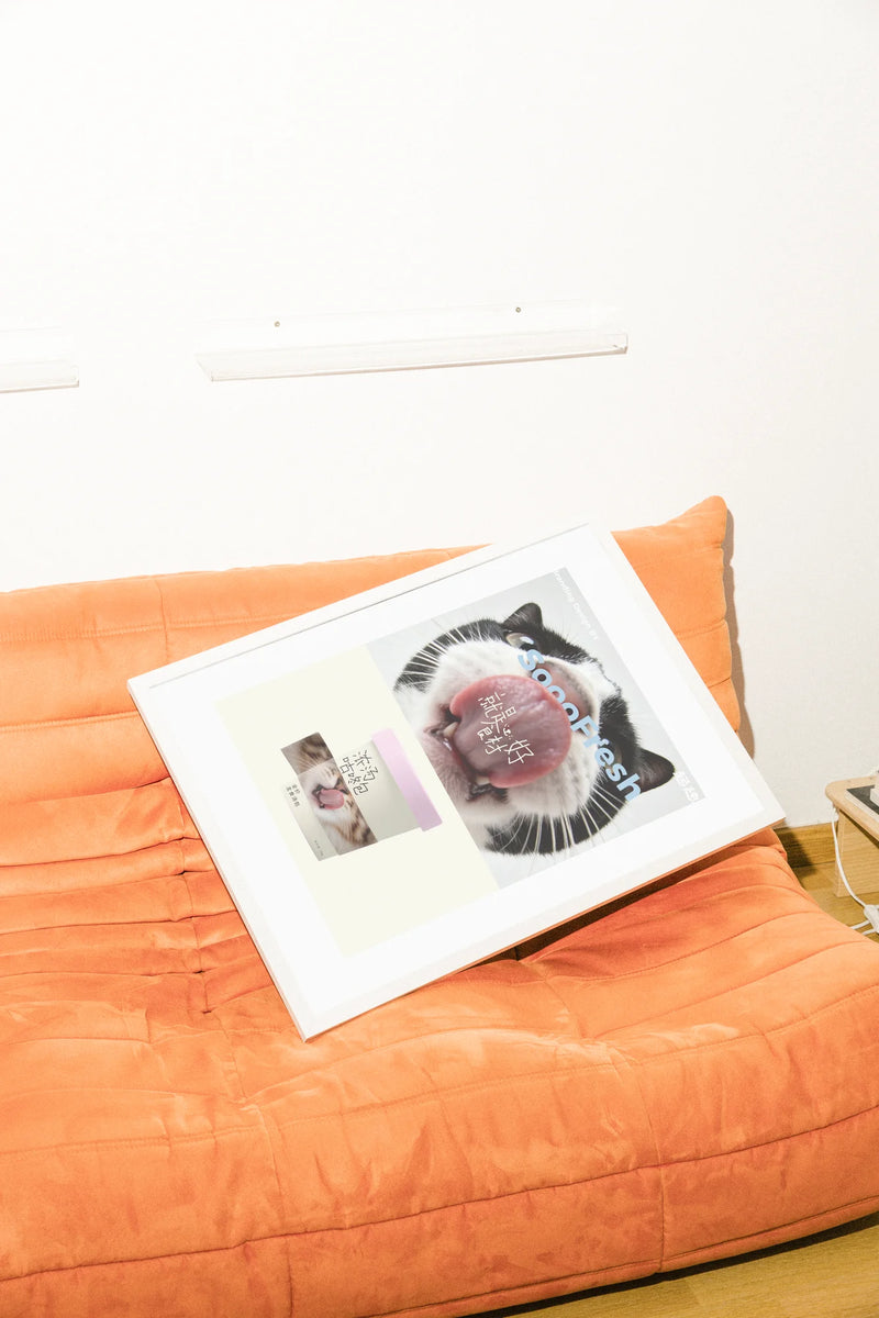 Gros plan photoréaliste du visage expressif d'un chat fusionnant avec un pot de crème glacée. Les tons naturels rencontrent le rose ludique dans cette œuvre d'art moderne, évoquant la fraîcheur.. animal, black, photographic, pink, portrait
