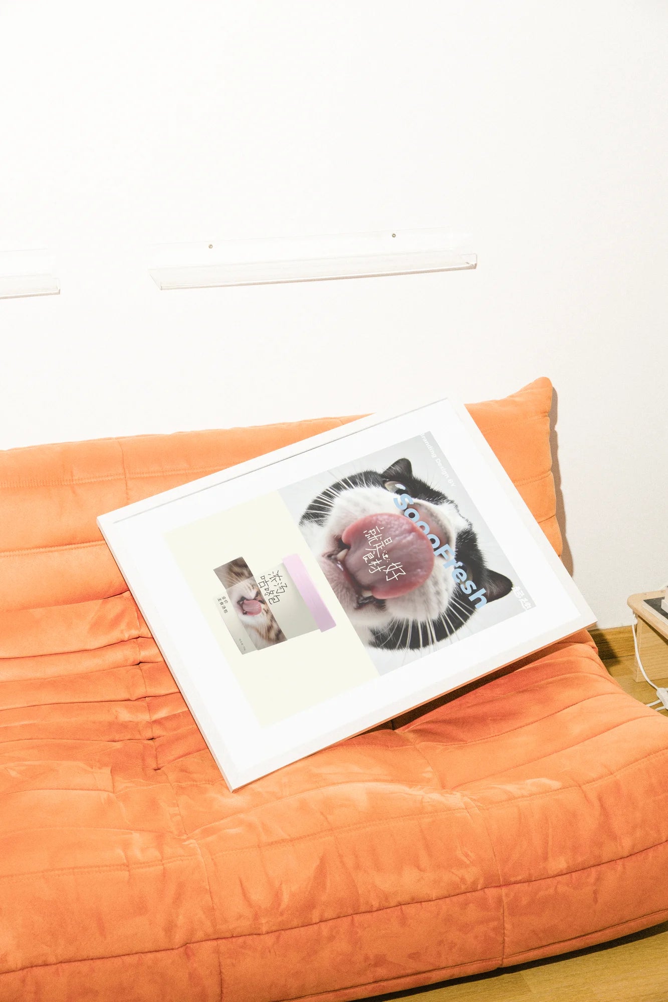 Gros plan photoréaliste du visage expressif d'un chat fusionnant avec un pot de crème glacée. Les tons naturels rencontrent le rose ludique dans cette œuvre d'art moderne, évoquant la fraîcheur.. animal, black, photographic, pink, portrait