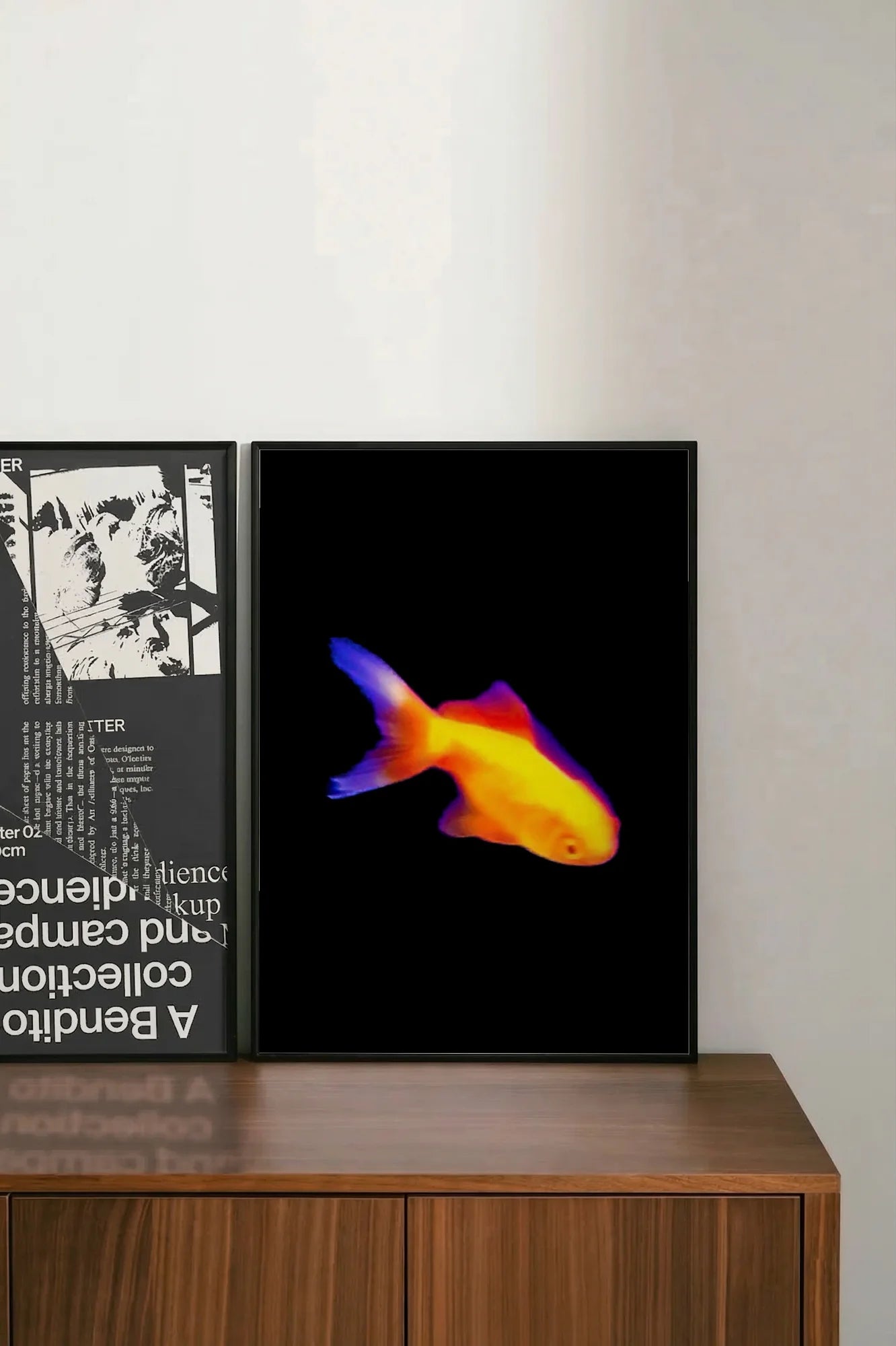 Thermal Reef - shelftwo