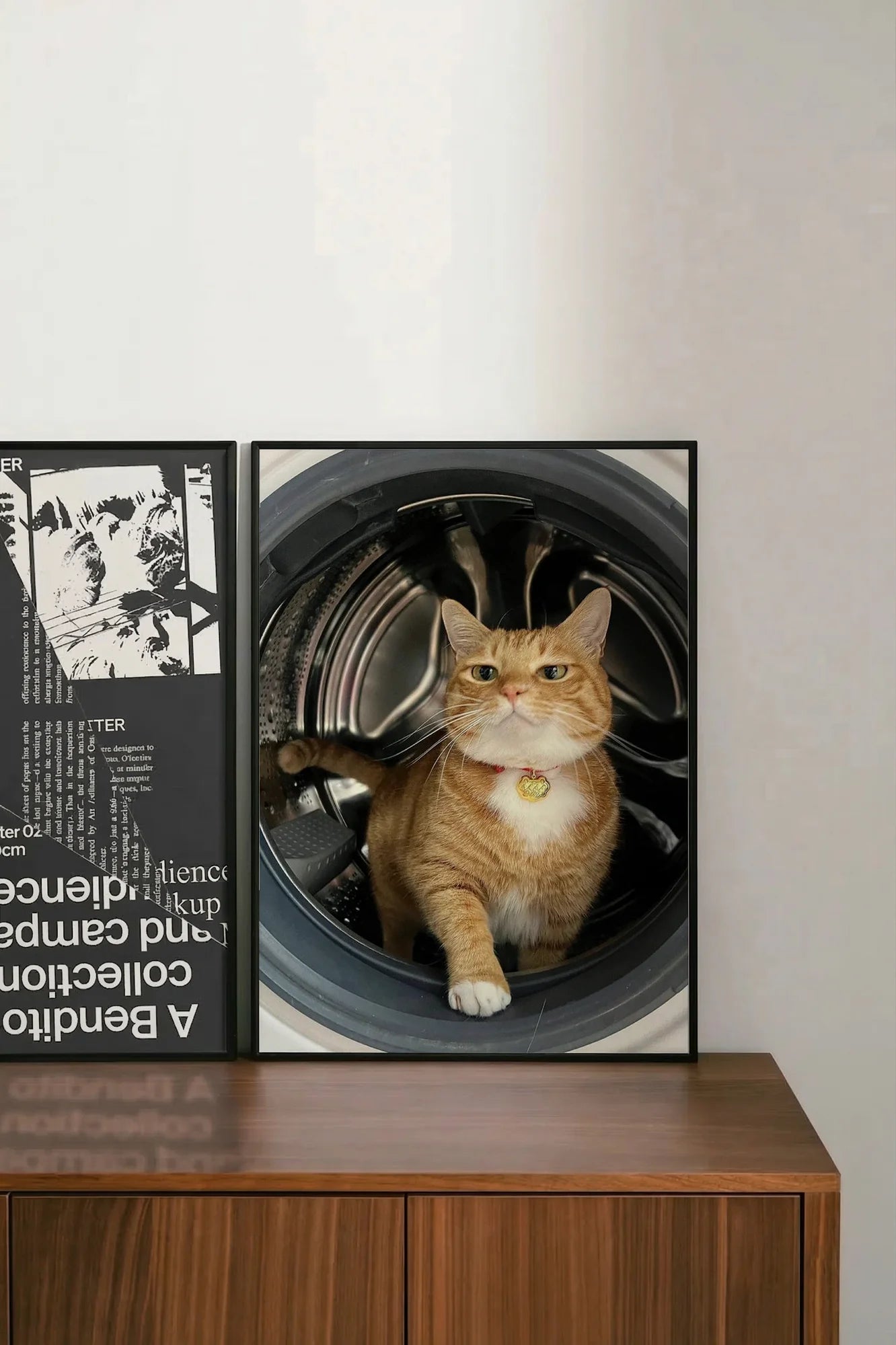 Feline Motion - shelftwo