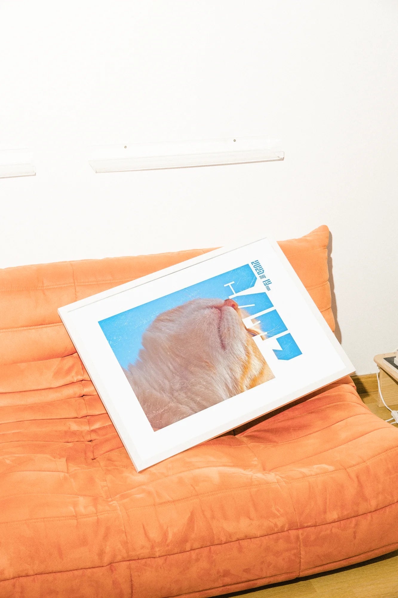 Un visage serein de chat tigré orange rencontre un texte bleu froid sur un doux dégradé. Composition calme et minimaliste évoquant la quiétude matinale.. animal, beige, blue, minimalist, orange, portrait