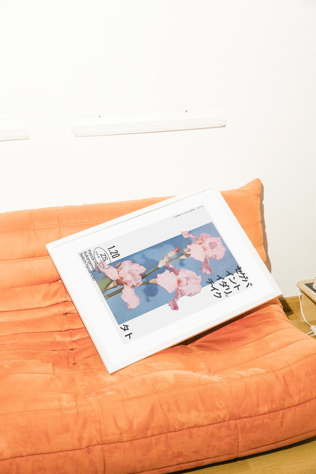 Pink Petals on Deep Blue