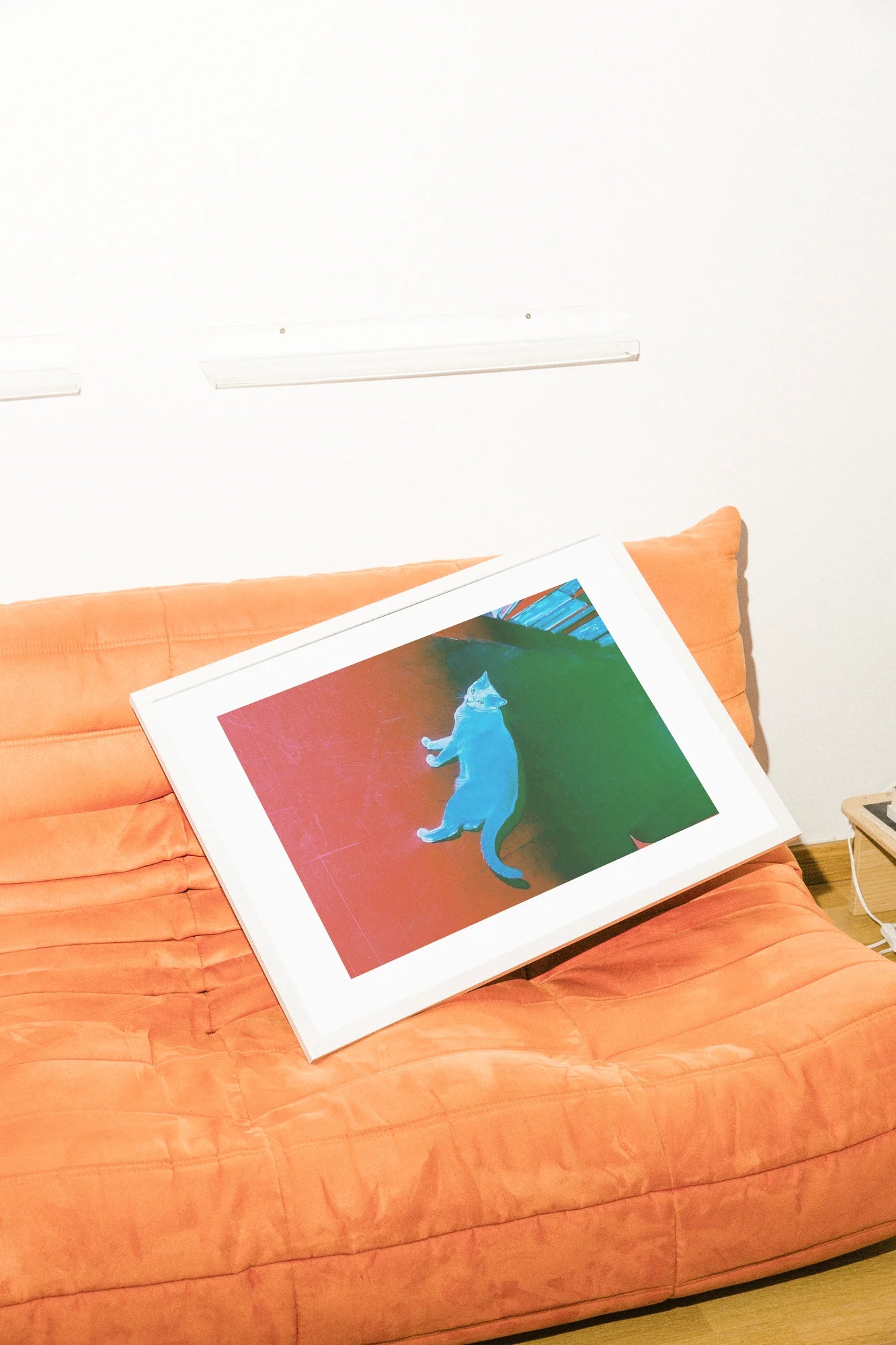 Red Cat's Blue Dream