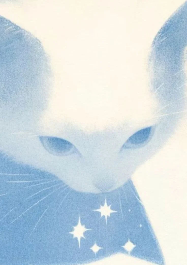 Starlight Whiskers