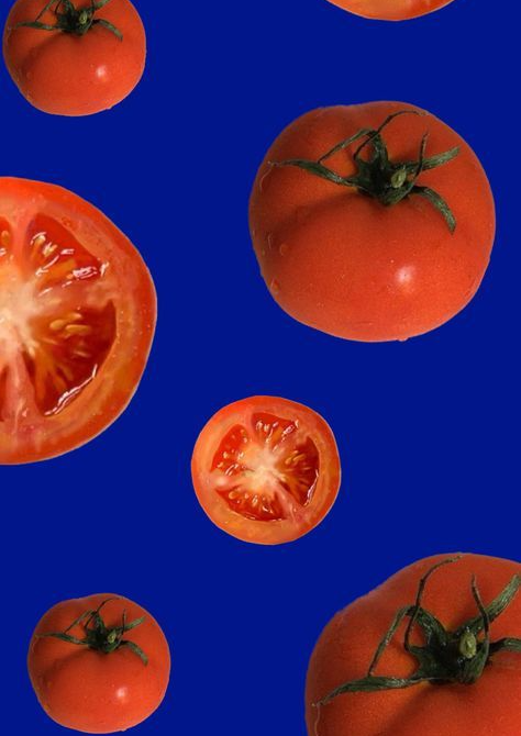 Tomato Blue