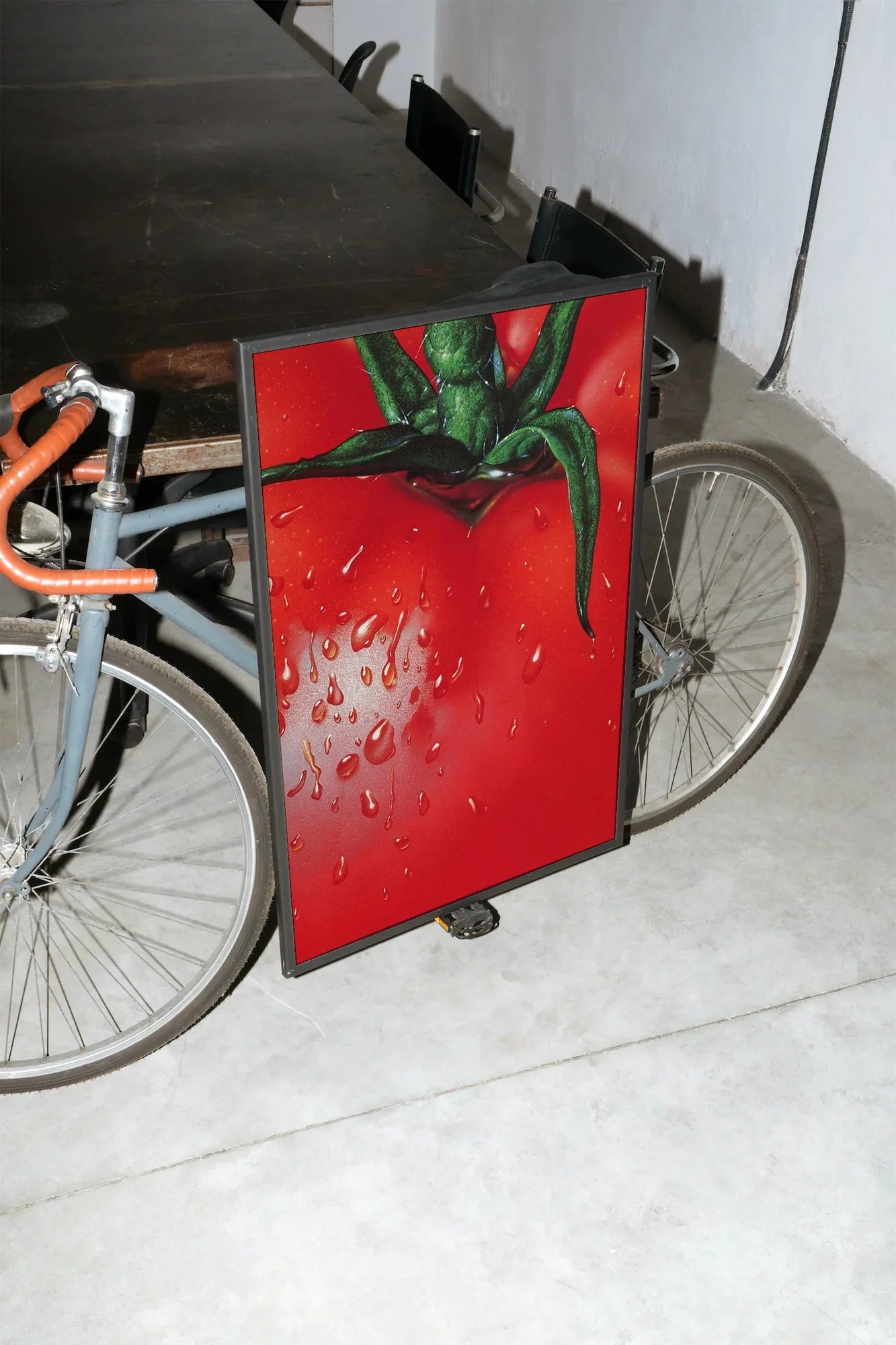 Succulent Red - mockup-velo