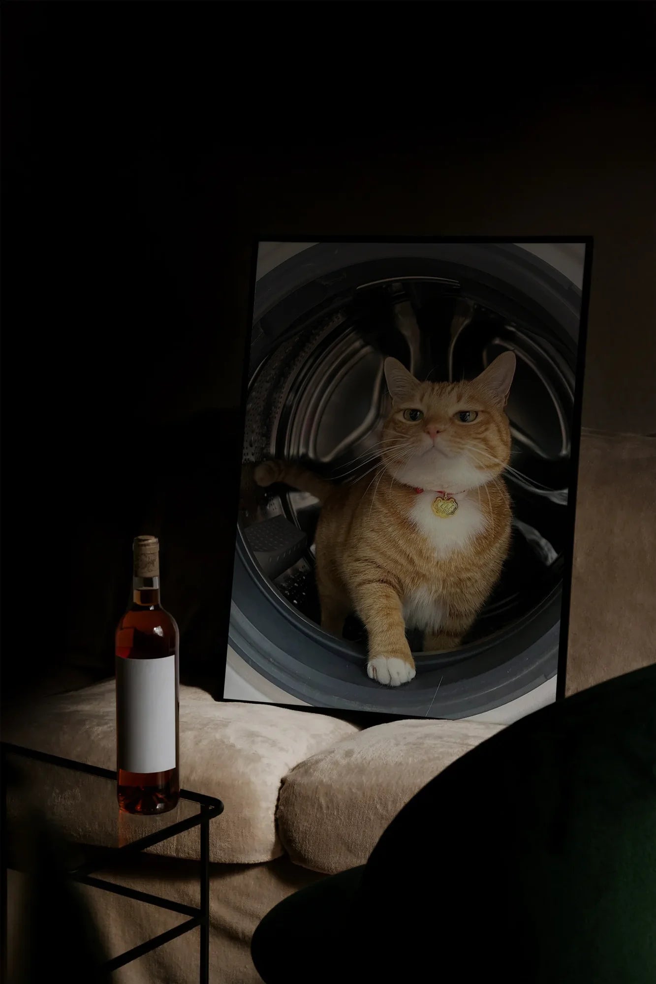 Feline Motion - mockupsofa-dark