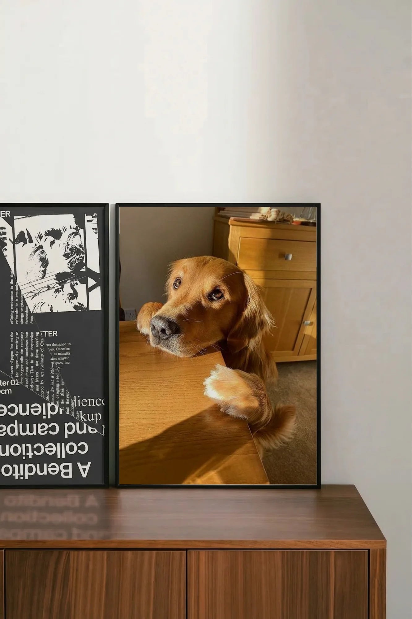Golden Paws - shelftwo
