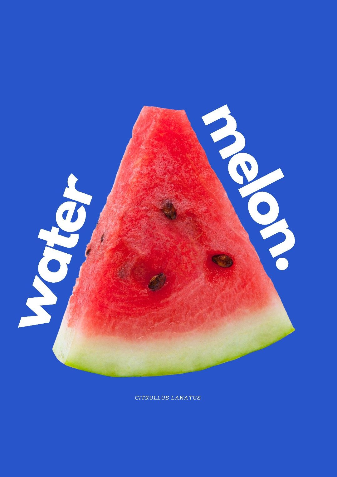 Vibrant Red Watermelon