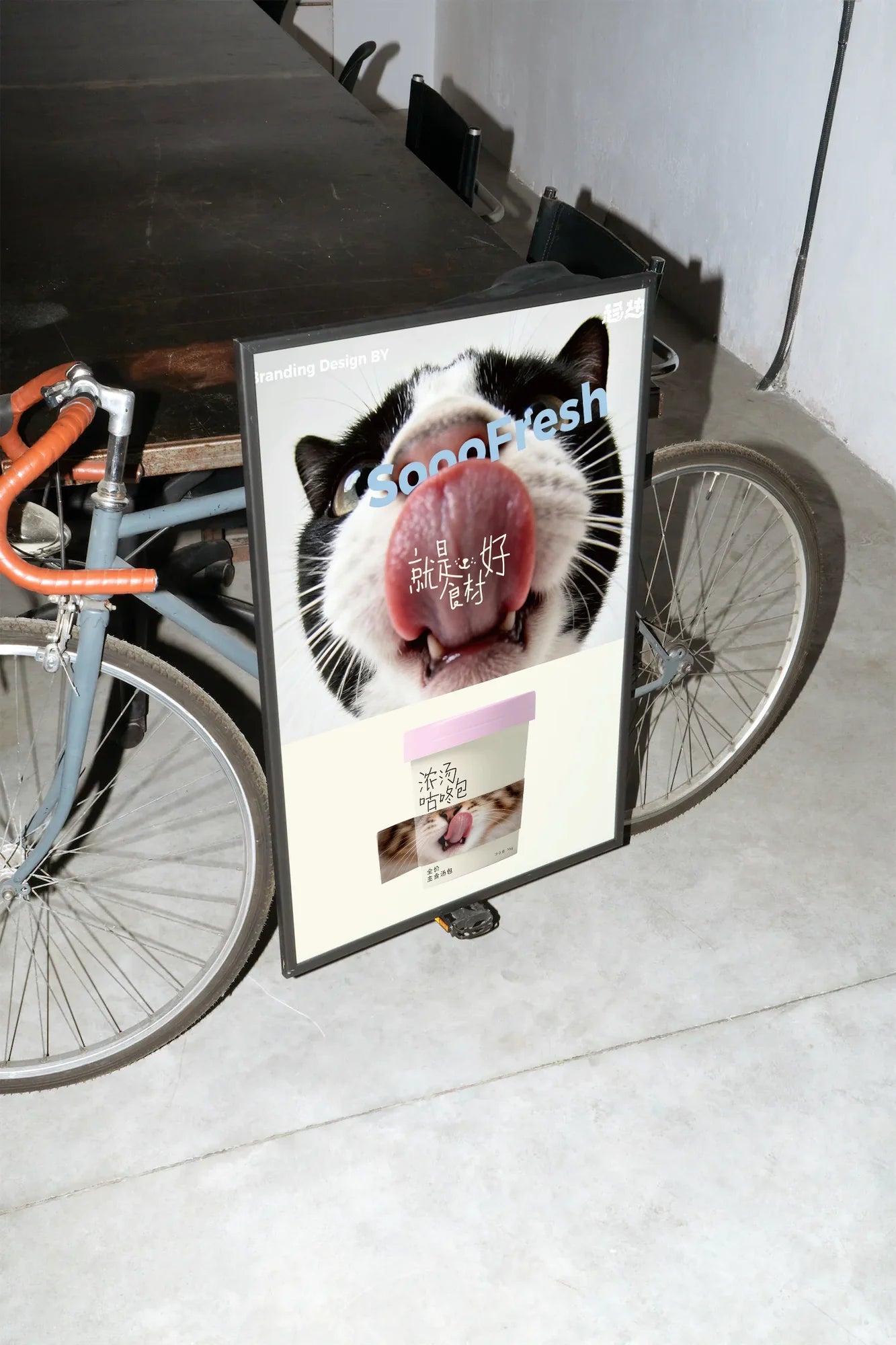 Whisker's Soft Pink - mockup-velo