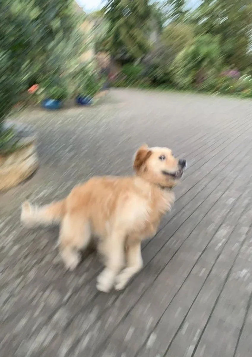 Golden Pace
