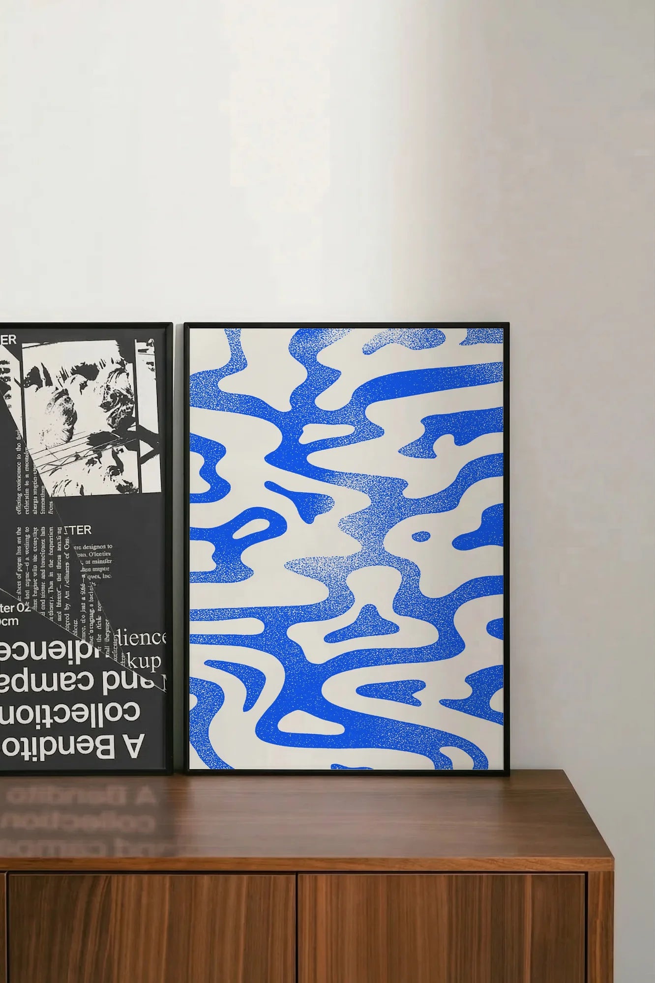 Fluid Geometry - shelftwo