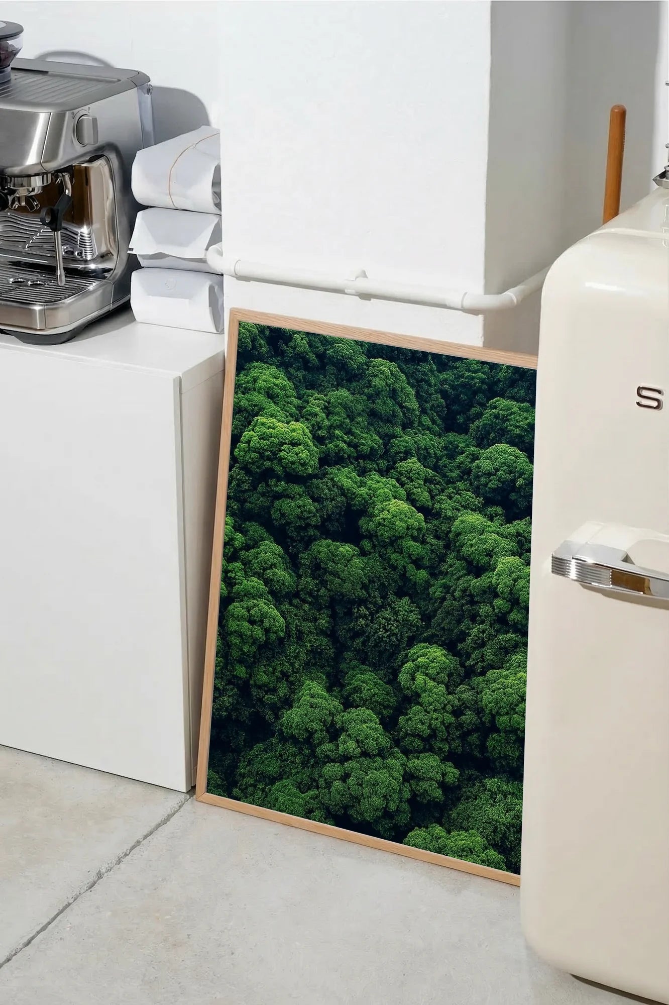 Silent Canopy - SMEG
