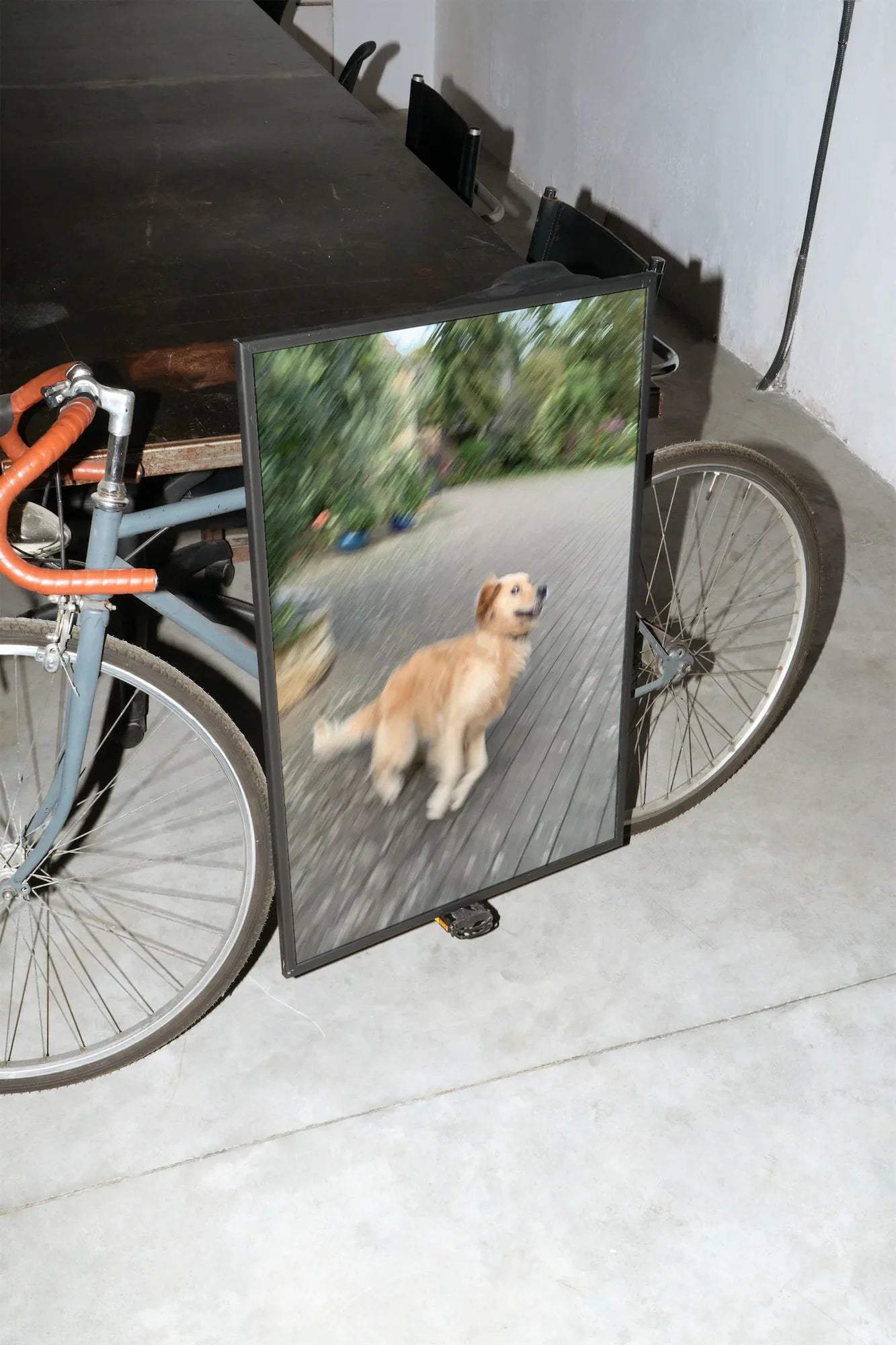 Golden Pace - mockup-velo