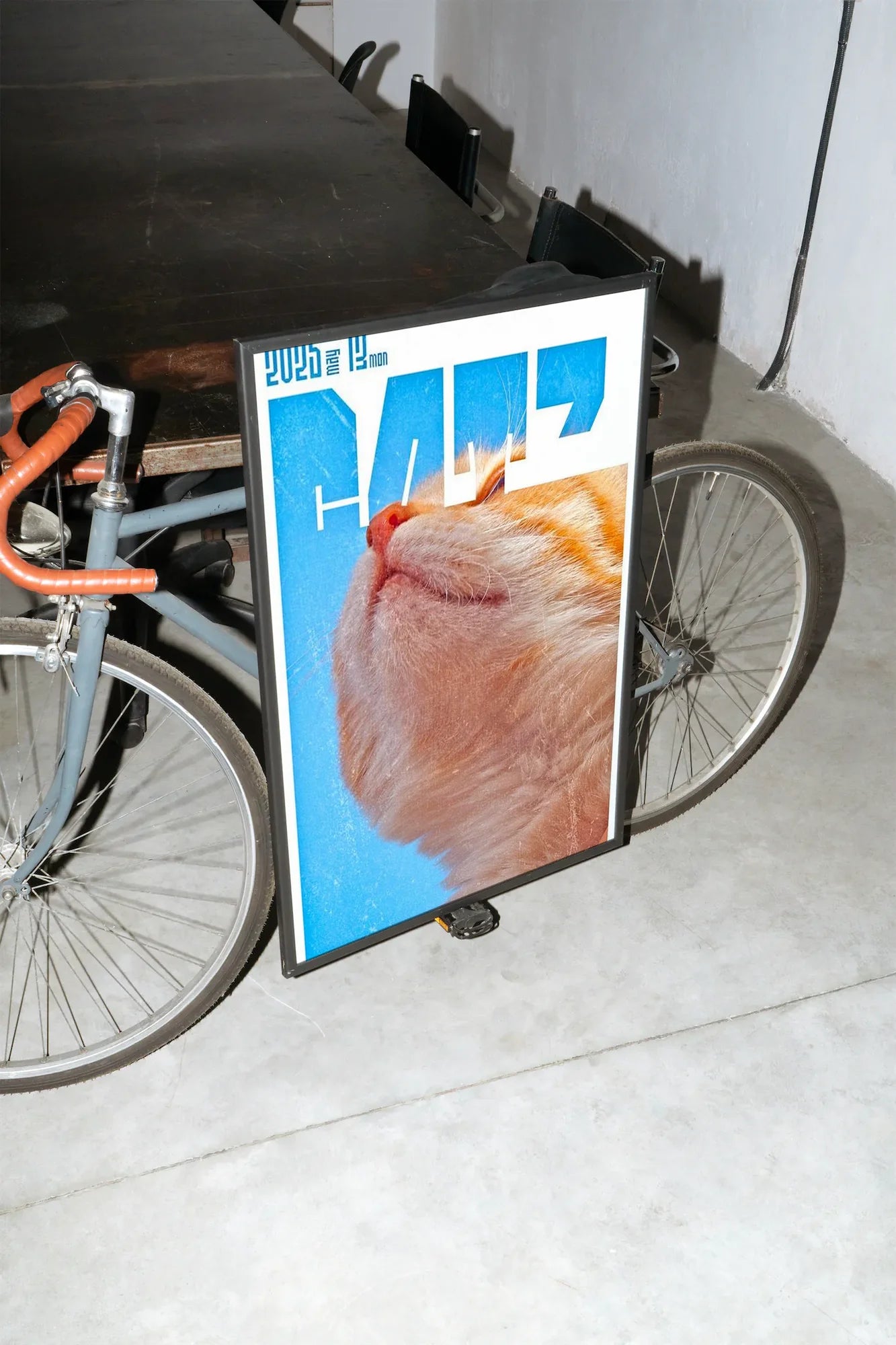 Orange Morning - mockup-velo