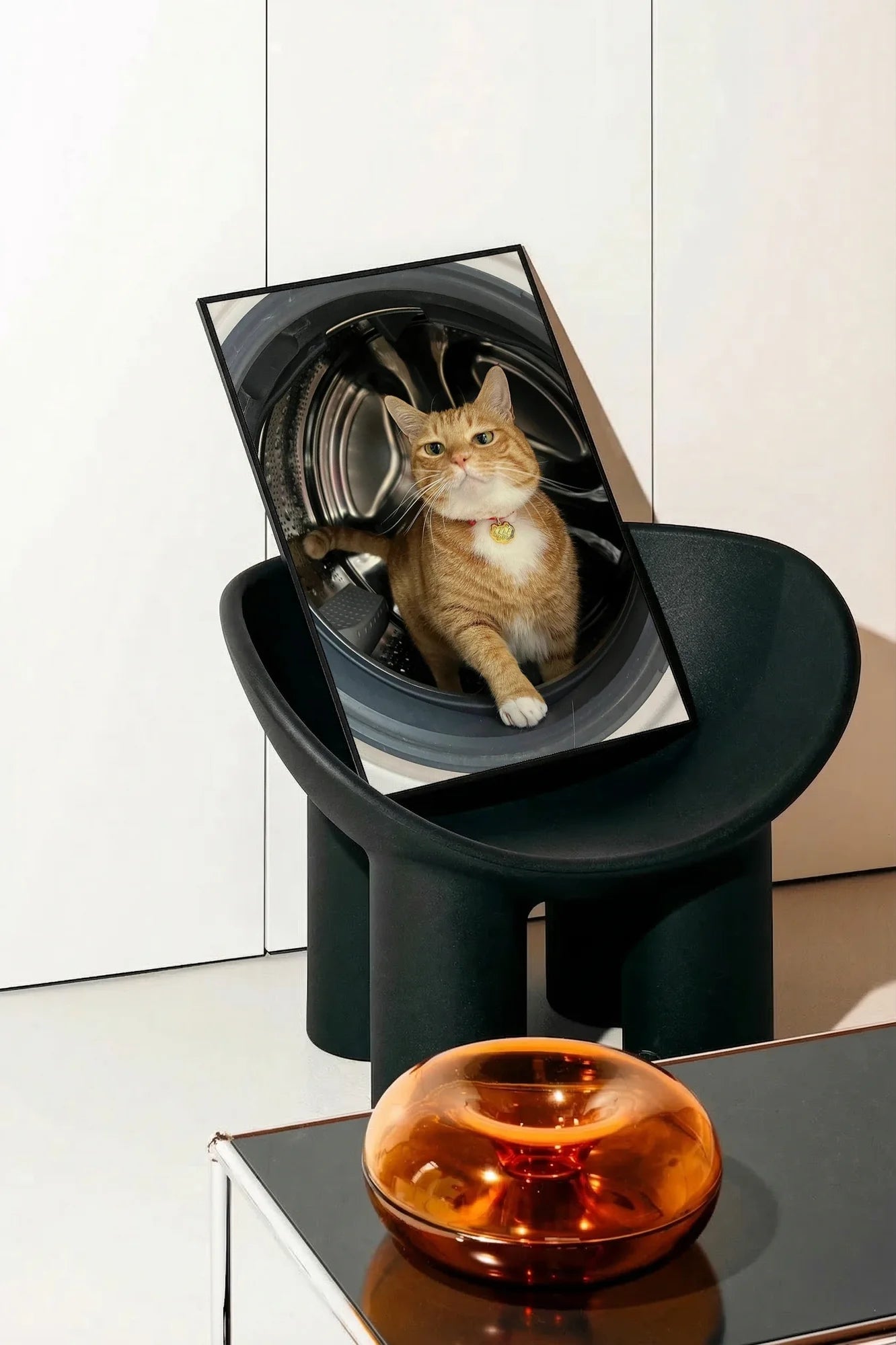 Feline Motion - onchair