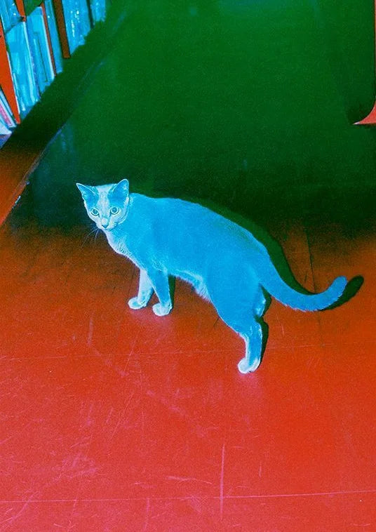 Un chat numérique géométrique se dresse sur un sol rouge vif, sur un fond vert luxuriant. Des teintes saturées audacieuses créent une pièce de galerie ludique et moderne.. animal, blue, geometric, green, red, surreal