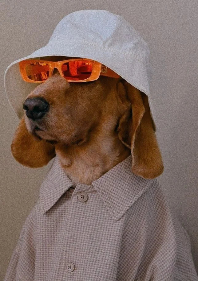 Doggy Checkered