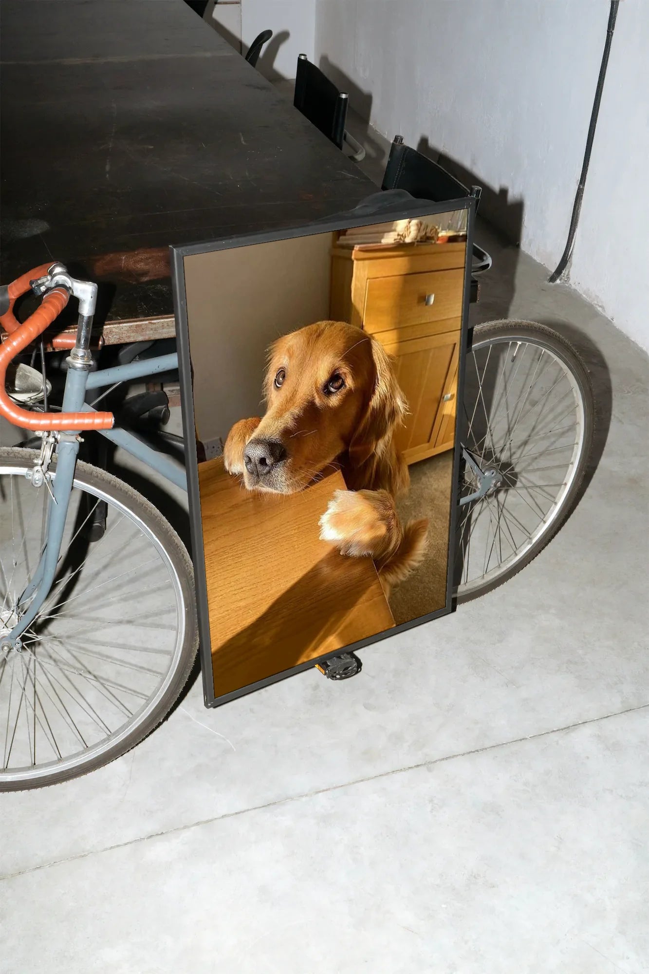 Golden Paws - mockup-velo