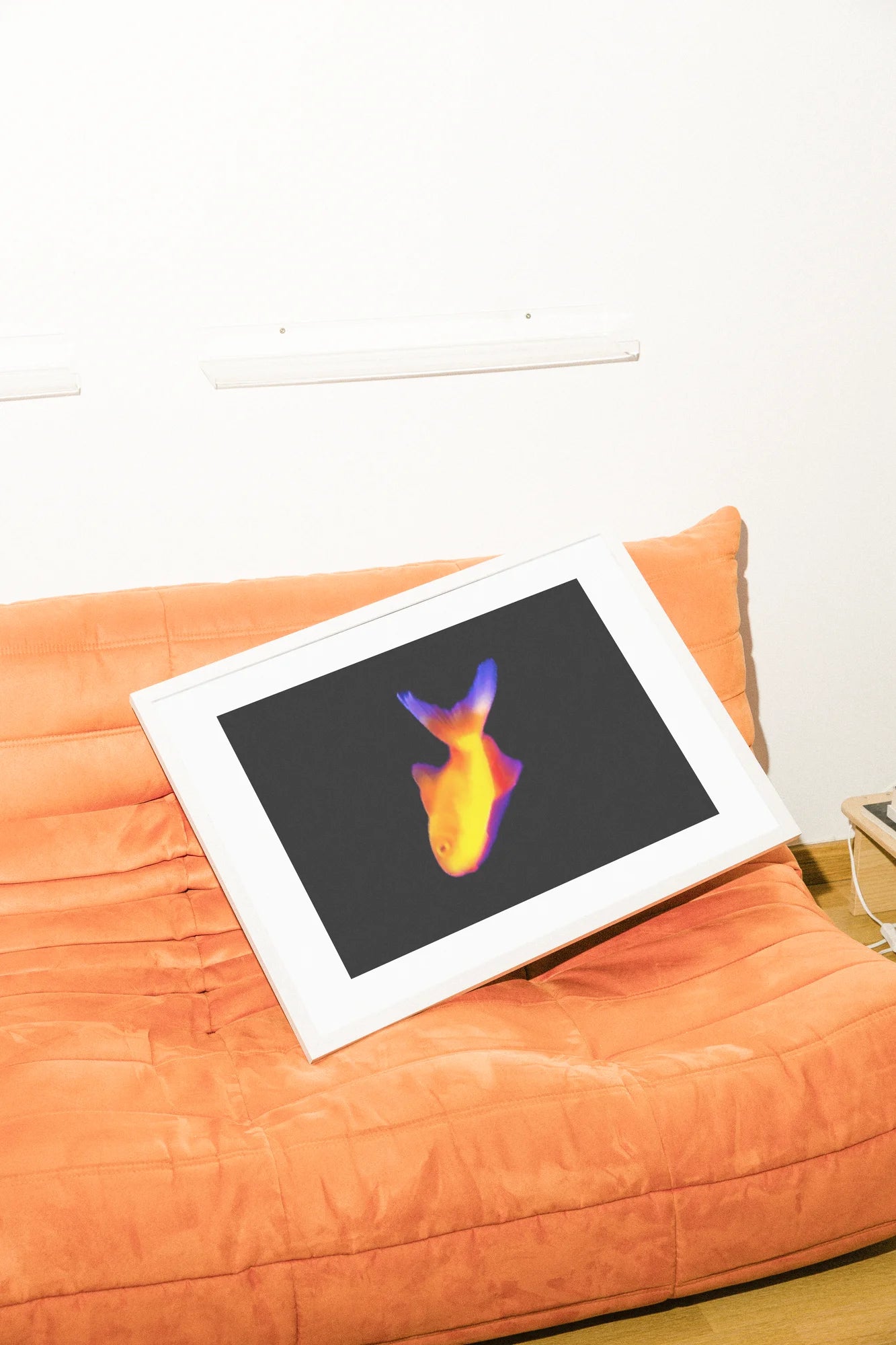 Une photographie numérique minimaliste capture un poisson vibrant rendu dans des tons de gradient thermique. Des teintes orange chaudes rencontrent des queues bleues froides sur une toile noire austère, évoquant le silence h. black, digital, marine, minimalist, orange, purple, vibrant