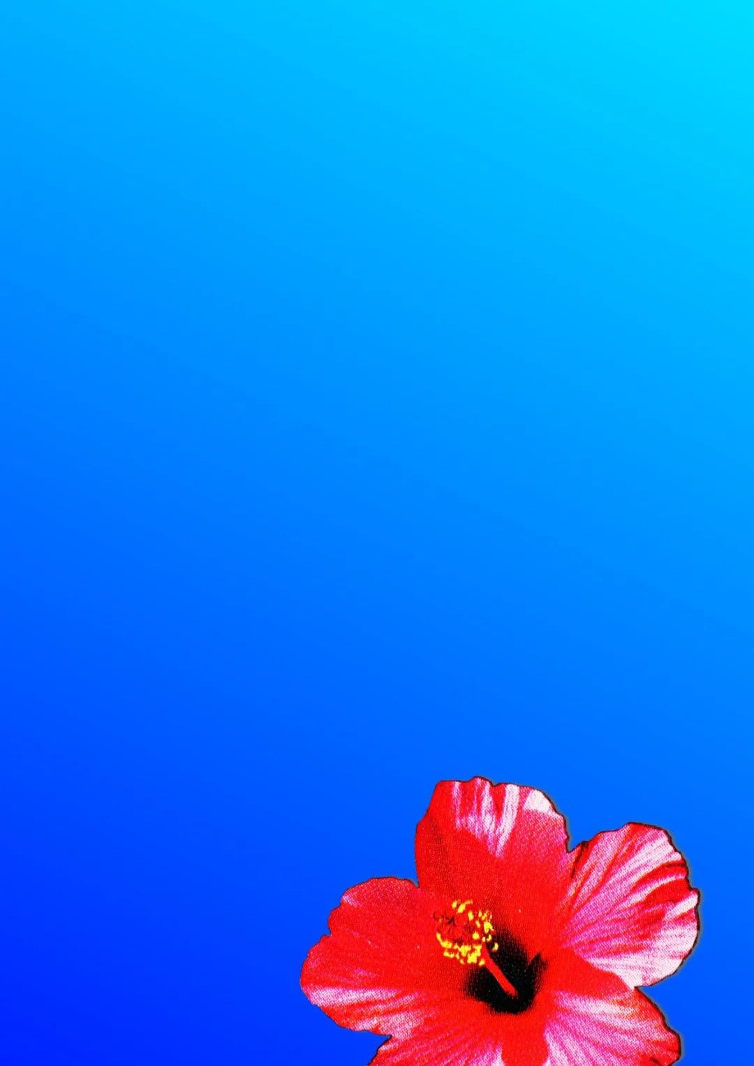 Red Bloom Rising