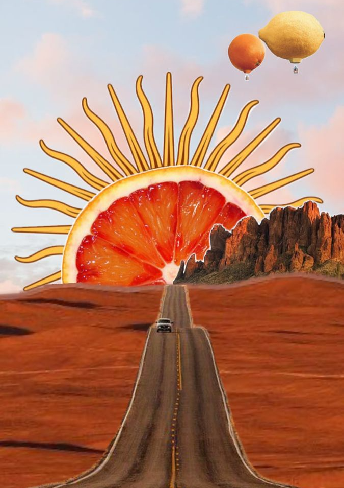 Sungrapes on the Road