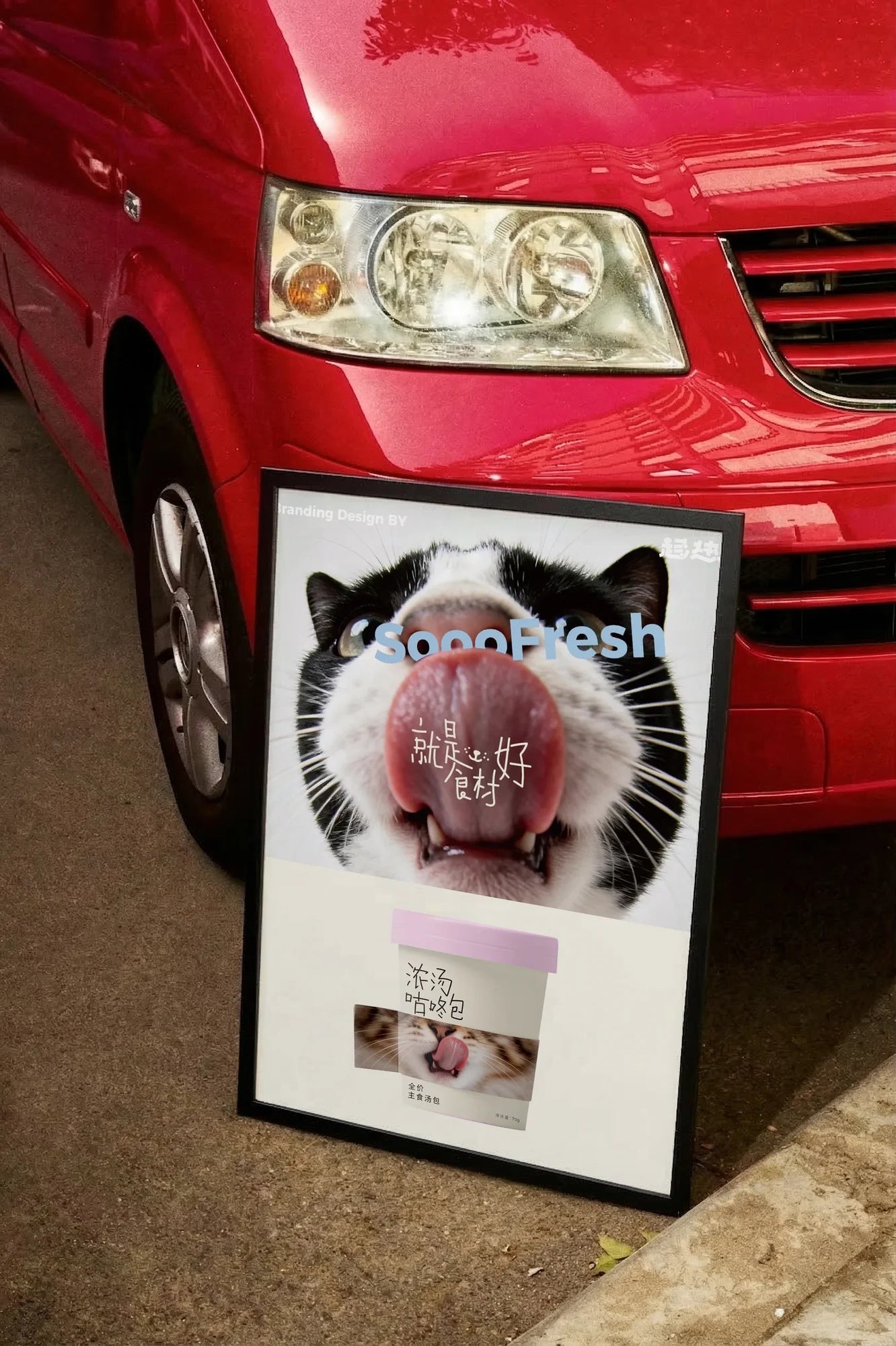 Whisker's Soft Pink - carmockup