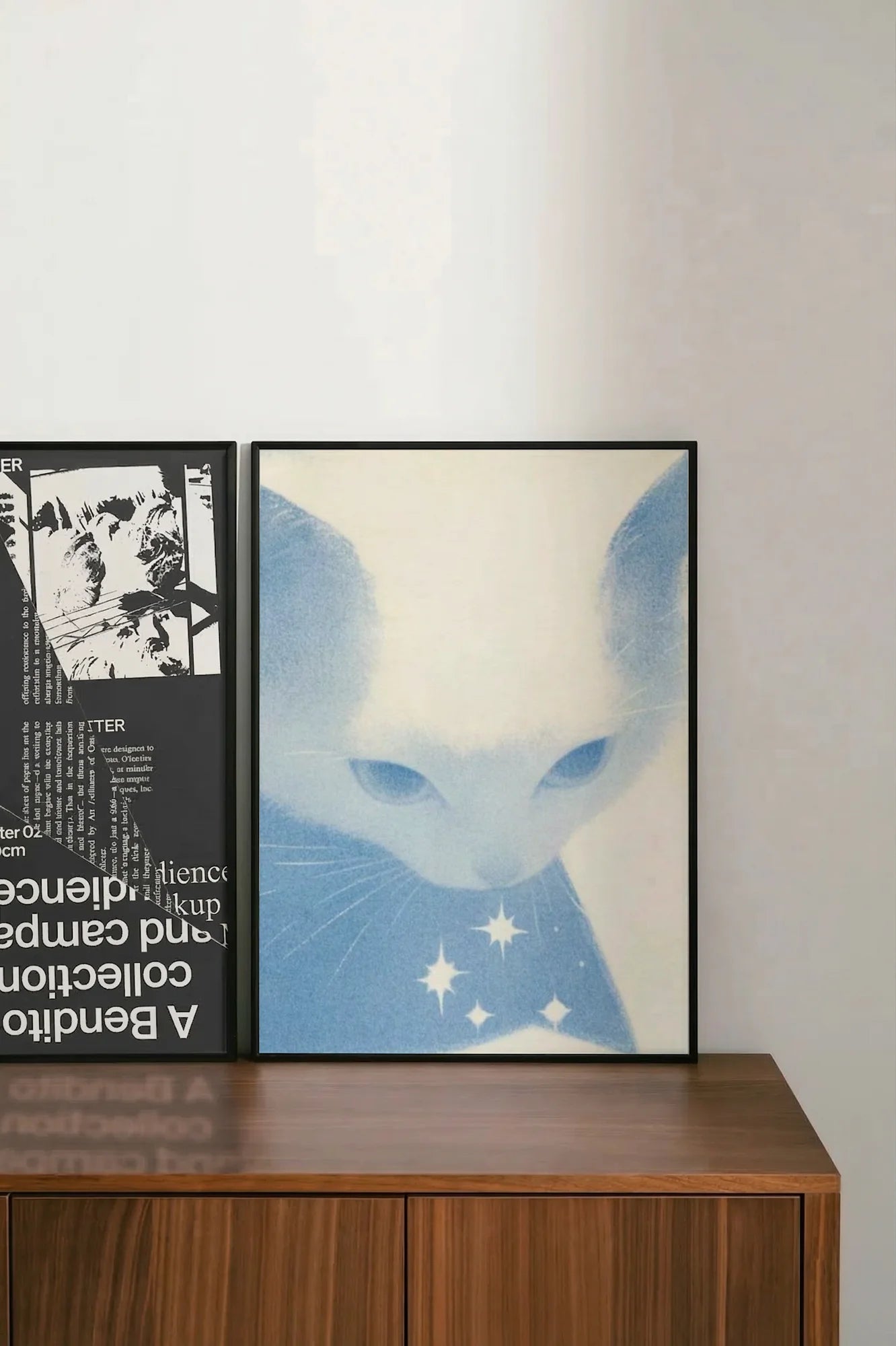Starlight Whiskers - shelftwo