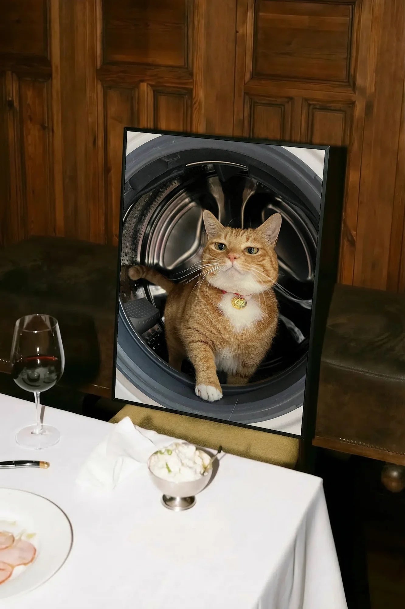 Feline Motion - atarestotable
