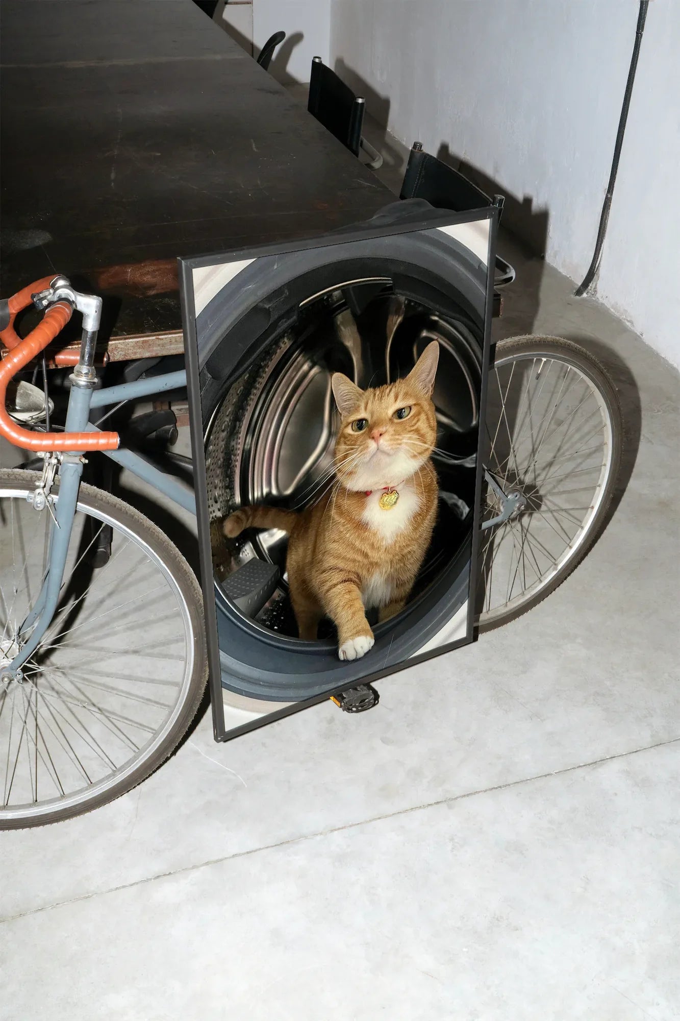 Feline Motion - mockup-velo