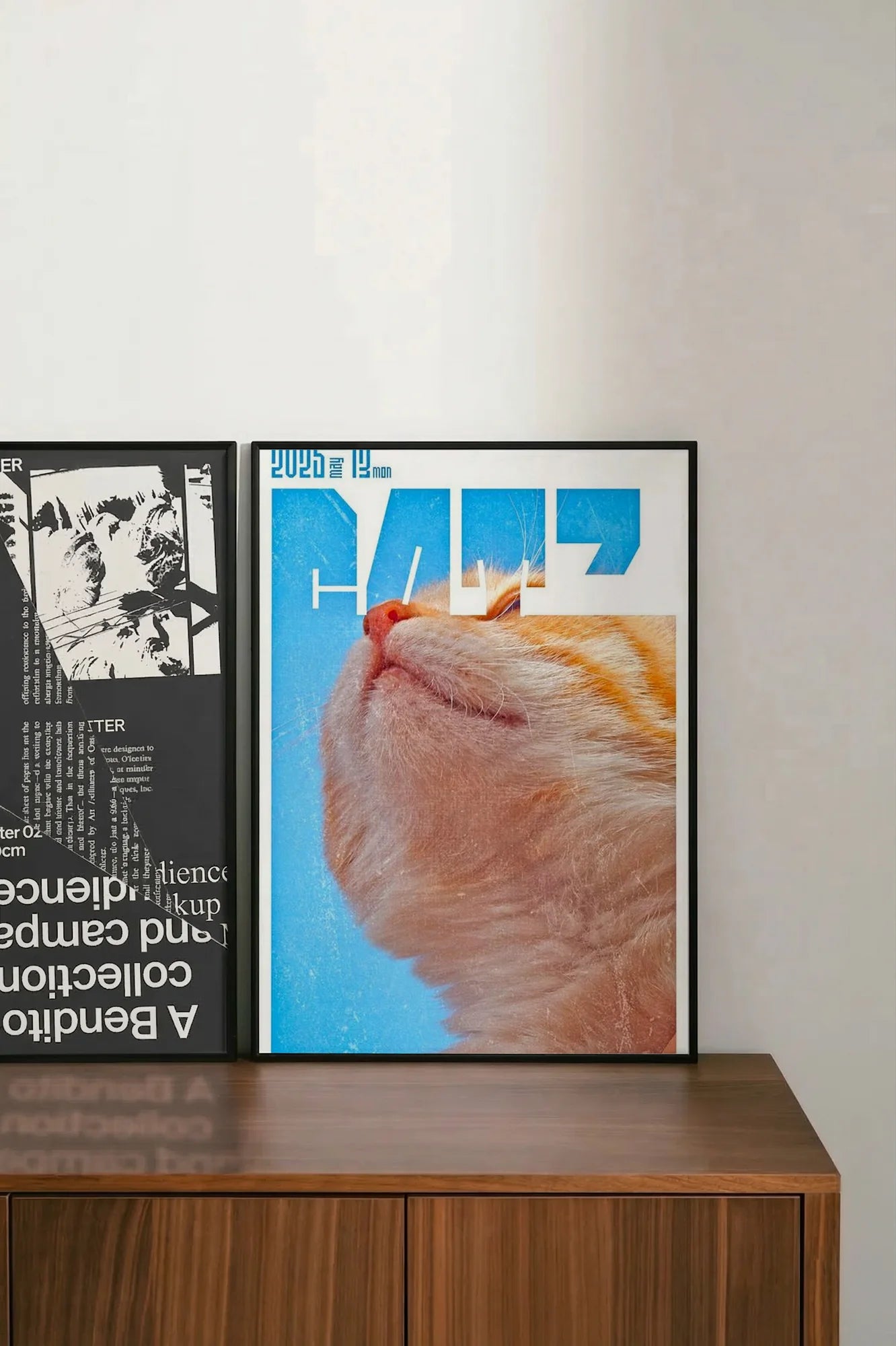 Orange Morning - shelftwo